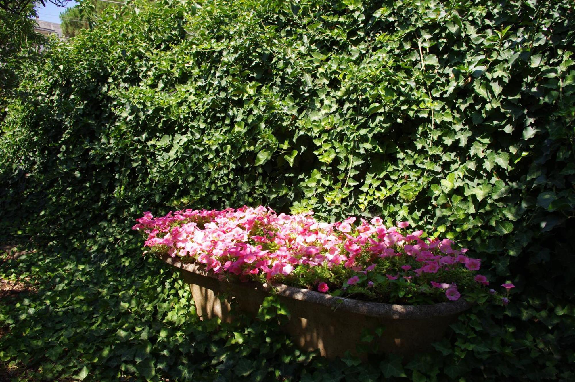 Bed & Breakfast La Piccola 3*