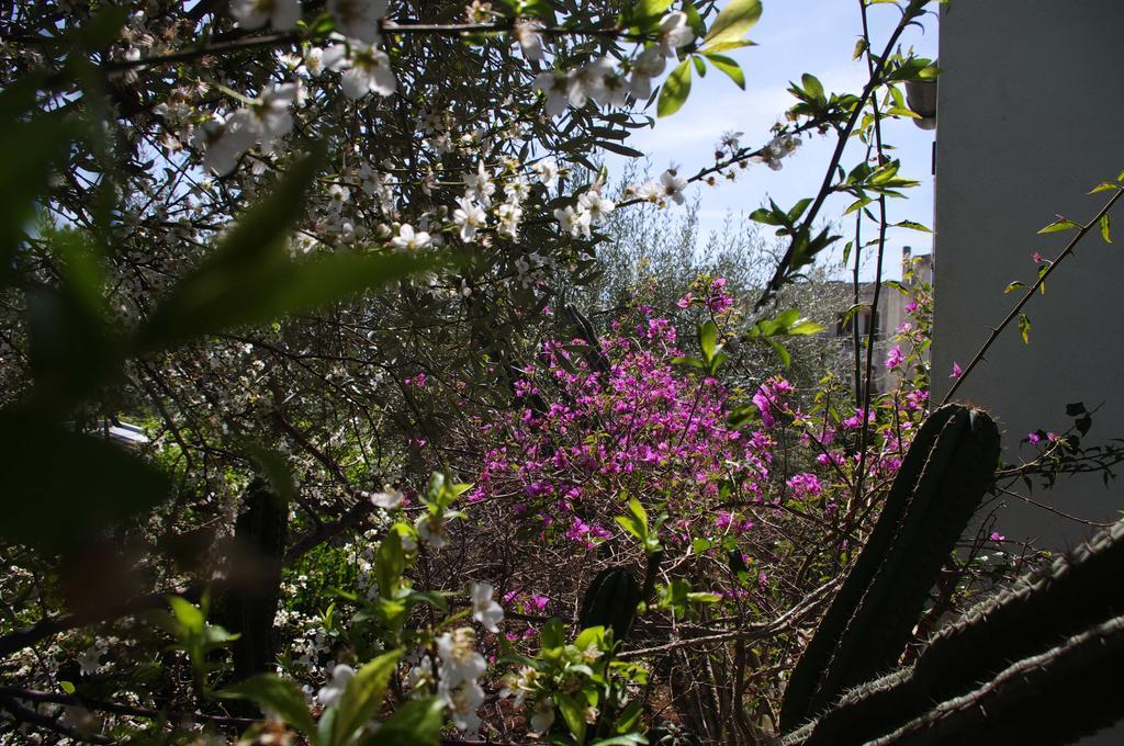 La Piccola Modica